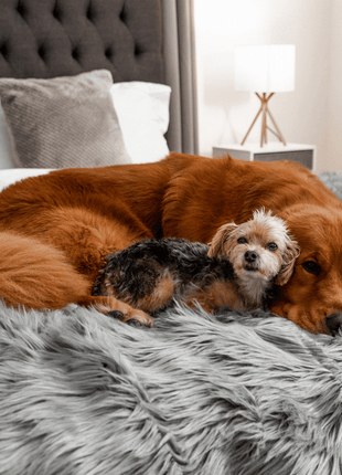 PupProtector™ Waterproof Throw Blanket - Charcoal Grey