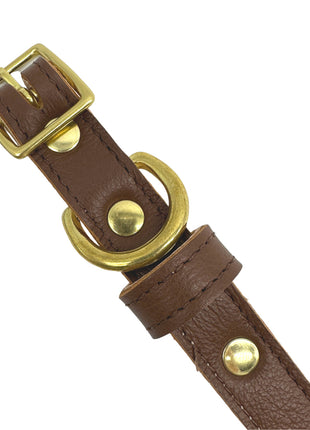 Plain Leather Dog Collar