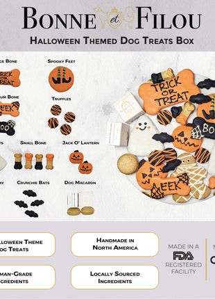 Halloween Themed Dog Treats Gift Box