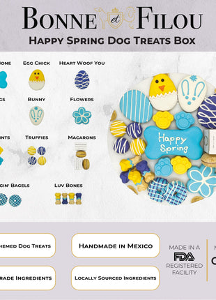 Spring Themed Dog Treats Gift Box