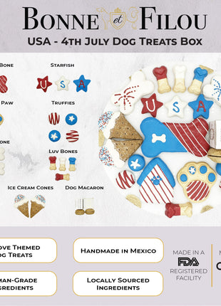USA Themed Dog Treats Gift Box