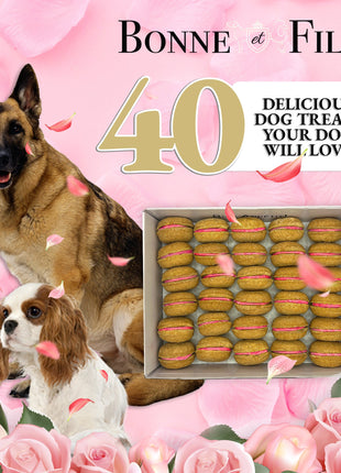 40 Count Dog Macaron Treats Gift Box