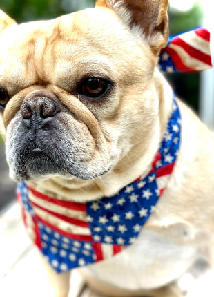 USA Dog Bandana