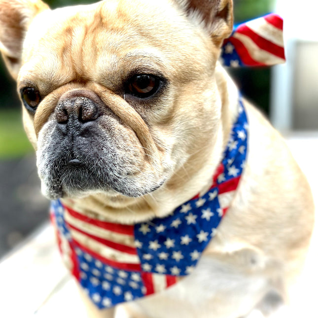 USA Dog Bandana