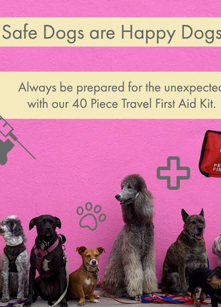 Comprehensive 40-Piece Pet Travel First Aid Kit for Emergencies, Safety, & Adventure