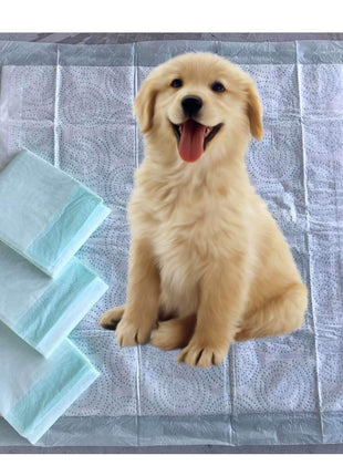 Mr. Peanut’s Premium Absorbent Gel Pee Pads 23"X23", 6 Layers of Lightly Scented Protection