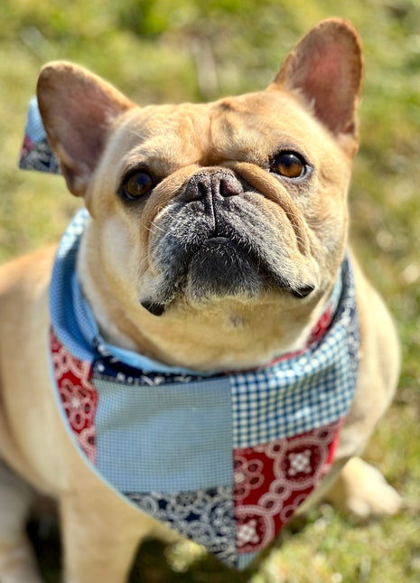 Patchwork Dog Bandana