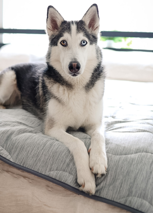 PupChill™ Cooling Waterproof Blanket - Arctic Grey