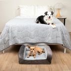 Small Bed (24