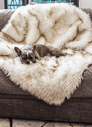 PupProtector™ Waterproof Throw Blanket - White with Brown Accents