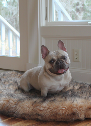 PupRug by Paw.com® Faux Fur Orthopedic Dog Bed - Curve Sable Tan