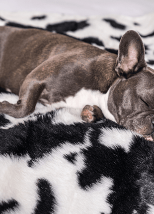 PupProtector™ Waterproof Throw Blanket - Black Faux Cowhide
