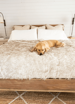 PupCloud™ Human-Size Dog Bed + Matching Waterproof Blanket Bundle - White with Brown Accents