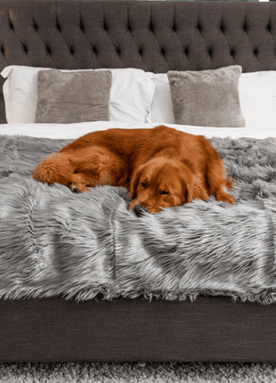 PupProtector™ Waterproof Throw Blanket - Charcoal Grey