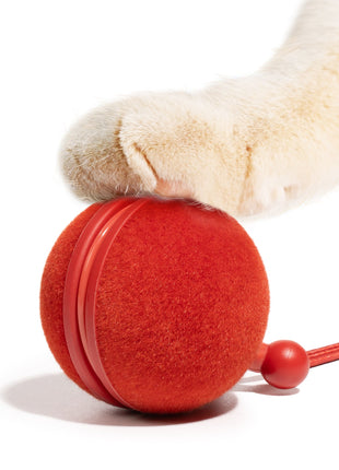 Wicked Ball Duo2 - Pup List