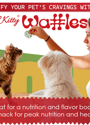 Freeze Dried Chicken Waffle Treats