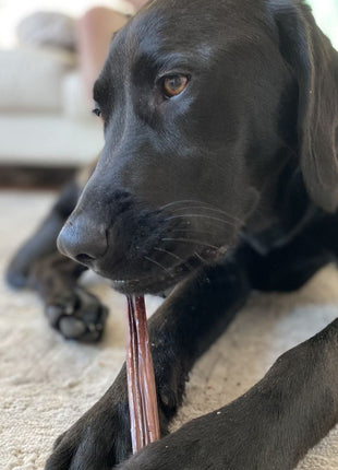12 Inch Beef Jerky Stick