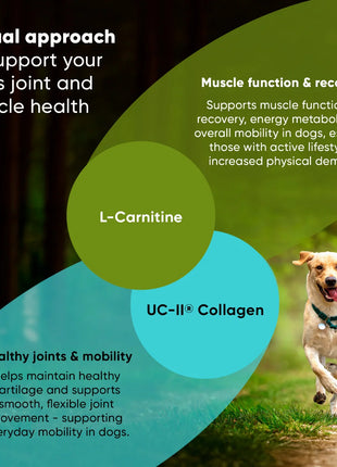 Joint & Muscle Health (Medium & Large Dogs) - Pup List
