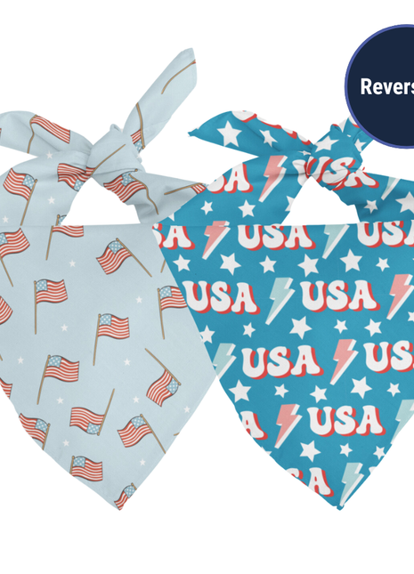 USA Dog Bandana