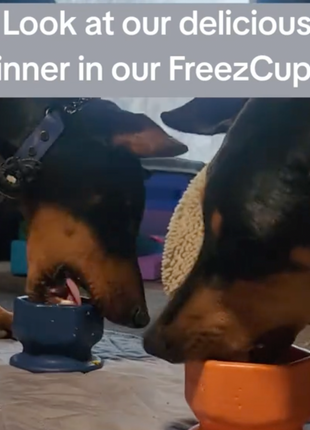 FreezCup - Long-Lasting Chew Fun