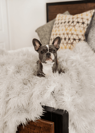 PupProtector™ Waterproof Throw Blanket - Grey