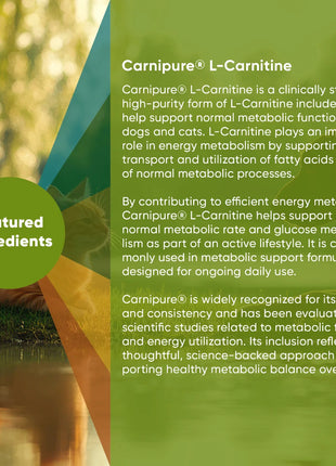 Weight Management - Pup List