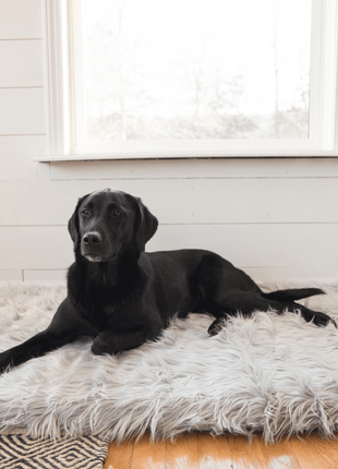 PupRug by Paw.com™ Faux Fur Orthopedic Dog Bed - Rectangle Grey