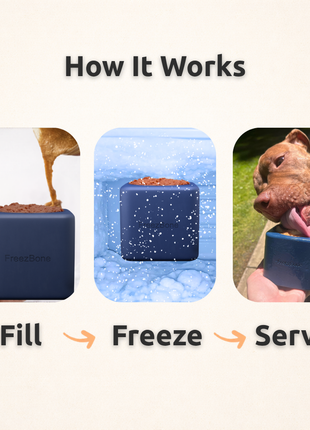Freezbox - Super Tough Treat Toy