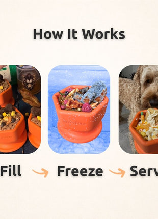 FreezCup - Long-Lasting Chew Fun