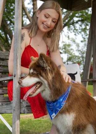 Patriotic Dog Bandana