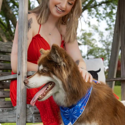 Patriotic Dog Bandana