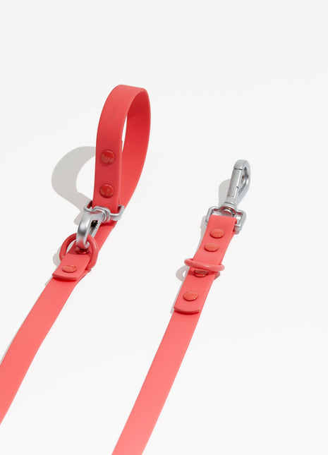 Luxe Leash - Poppy - Pup List