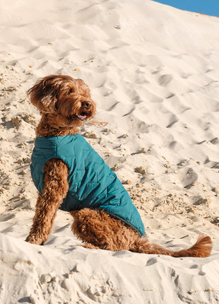 Sustainable Eco-Friendly Dog Jacket / Vest - Made in Ukraine