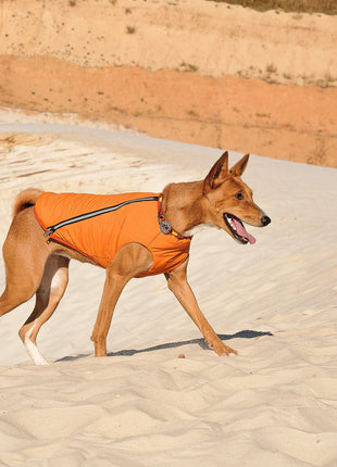 Sustainable Eco-Friendly Dog Jacket / Vest - Made in Ukraine
