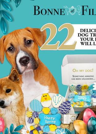 Spring Themed Dog Treats Gift Box