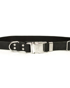 Modern Style Quick-Release Midnight Black Leather Dog Collar