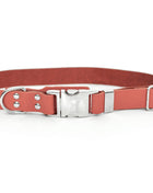 Modern Style Quick-Release Coral Reef Leather Dog Collar