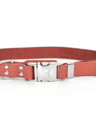 Modern Style Quick-Release Coral Reef Leather Dog Collar