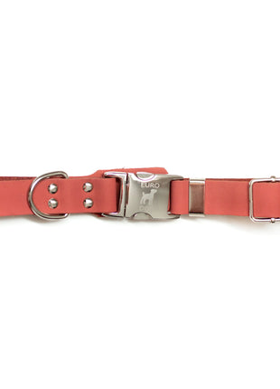 Modern Style Quick-Release Coral Reef Leather Dog Collar