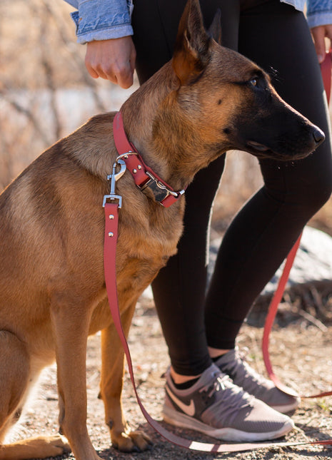 Modern Style Coral Reef Leather Leash