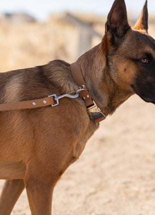 Modern Style Quick-Release Khaki Leather Dog Collar