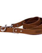 Modern Style Earth Brown Leather Leash