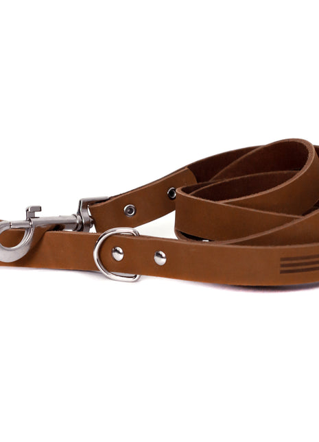 Modern Style Earth Brown Leather Leash