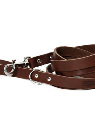 Modern Style Chocolate Leather Leash
