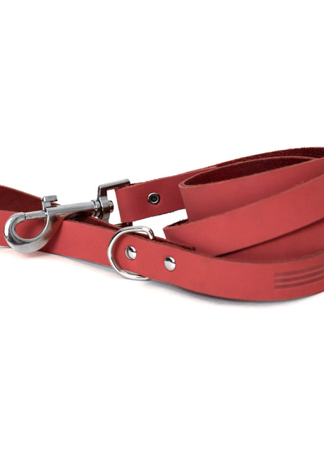 Modern Style Coral Reef Leather Leash