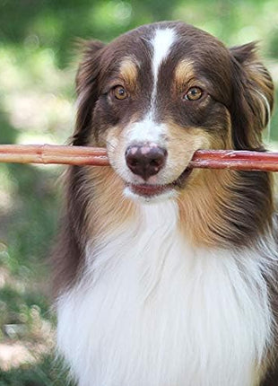 Brazilian Grass-Fed Beef Bully Sticks