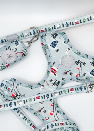 Snowy Slopes Leash - Pup List