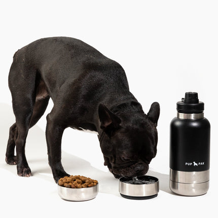 Pup Pak Dog Water Bottle with Detachable Bowls
