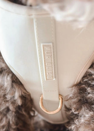 Elise Harness - Bone - Pup List