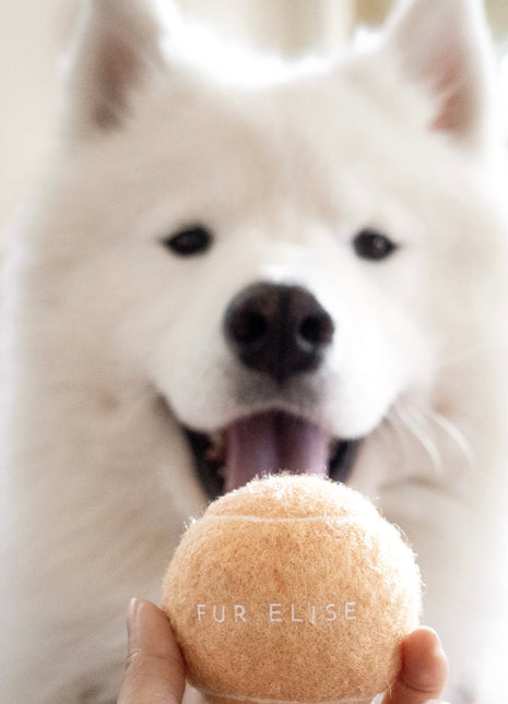 Classic Tennis Ball - Sand